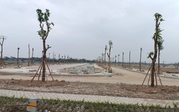 TEELhomes Tràng An - Khu đô thị xanh với nhiều tiện ích hiện đại