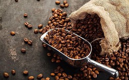 Thị trường nông sản ngày 22/3: Giá cà phê tăng mạnh, trong nước vượt 47.000 đồng/kg