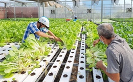 NHNN chỉ đạo đẩy mạnh triển khai chính sách hỗ trợ lãi suất với doanh nghiệp, hợp tác xã