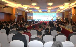 Phát triển đầu tư, thương mại, dịch vụ - tạo liên kết vùng cho doanh nghiệp