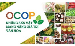 Cả nước có 8.689 sản phẩm OCOP được đánh giá, phân hạng đạt 3 sao trở lên