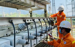 Nhiều chính sách nổi bật có hiệu lực từ tháng 6/2023