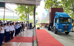 Bắc Giang đẩy mạnh tiêu thụ vải thiều chín sớm