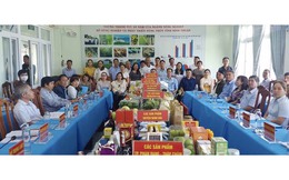 OCOP: Đưa hương vị "nắng và gió" Ninh Thuận bay xa