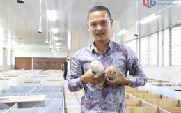 Từ hai bàn tay trắng, không bằng cấp, chàng trai 9X Quảng Ninh gây dựng cơ đồ bạc tỷ, nổi danh khắp vùng