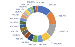 Hiệu suất 17 quỹ mở thấp hơn hiệu suất của VN-Index