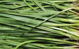 5 loại rau dễ "ngậm thuốc trừ sâu" nhất chợ, dân buôn né xa