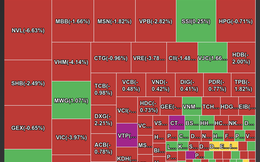 VN-Index lao dốc mạnh nhất trong lịch sử, hàng trăm mã giảm sàn