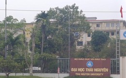 Đại học Vùng không còn phù hợp với thực tiễn