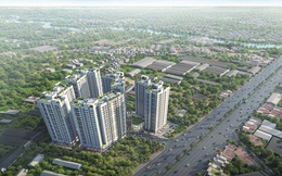 Hạ tầng sẽ đánh thức "Mỏ vàng" BĐS phía Tây TP.HCM