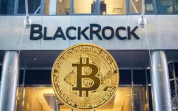 Giá Bitcoin hôm nay 30/10: IBIT của BlackRock thúc đẩy dòng tiền dương cho Bitcoin ETF