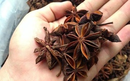 Việt Nam xuất khẩu hơn 11.000 tấn hoa hồi trong 9 tháng