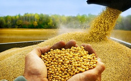 Nhập khẩu hàng hóa từ Mỹ về Việt Nam tăng gần 24%