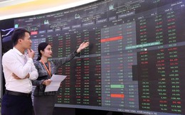 TTCK Việt Nam hướng tới đạt chuẩn tiêu chí thị trường mới nổi của MSCI