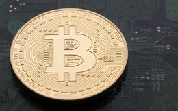 Giá Bitcoin hôm nay 11/11: Thị trường trong giai đoạn tích lũy