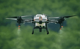 Một dự án 5 triệu USD của Liên hợp quốc có thể "thay đổi cuộc đời" của 21.000 người Việt Nam