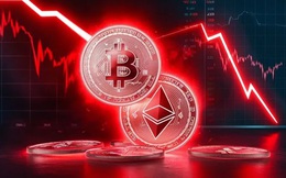 Giá Bitcoin hôm nay 15/11: Bitcoin rơi vào chu kỳ suy yếu mới?