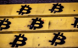 Giá Bitcoin hôm nay 19/11: Tâm lý bi quan bao trùm thị trường