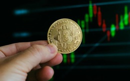 Giá Bitcoin hôm nay 24/11: Bitcoin có thể giảm xuống mức 25.000 USD