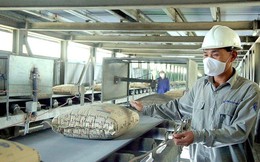 Tiêu thụ xi măng nội địa lẫn xuất khẩu đều trên đà phục hồi