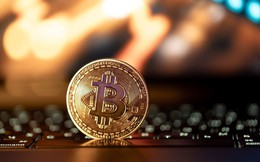 Giá Bitcoin hôm nay 26/11: Có dấu hiệu đảo chiều