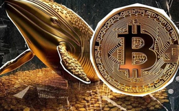 Giá Bitcoin hôm nay 10/11: Áp lực bán ra từ cá voi tạo áp lực lên giá Bitcoin