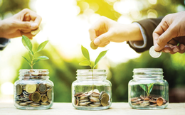 Các ngân hàng từng bước dịch chuyển sang lĩnh vực xanh