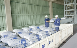 Xuất khẩu xi măng, clinker 11 tháng vượt kỷ lục năm 2024