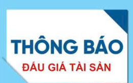 Công ty đấu giá hợp danh Bắc Trung Nam thông báo đấu giá (lần 2)