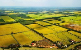 Đề xuất mức giá đất nông nghiệp bằng 40% đất ở cùng thửa đất