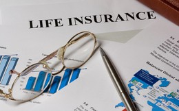 Năm 2025, tổng doanh thu phí bảo hiểm ước đạt 237.211 tỷ đồng, tăng 3,96%