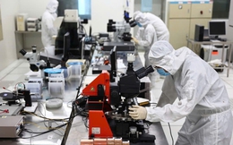 TP. HCM dự kiến lập quỹ hơn 350 tỷ đồng để thu hút nhân tài