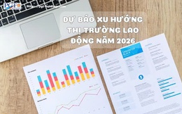 Dự báo xu hướng thị trường lao động năm 2026