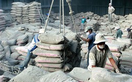 Ngành xi măng sẽ về đích năm 2025 với sản lượng xuất khẩu đạt 36,5-37 triệu tấn