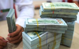 Kiều hối về TP. Hồ Chí Minh dự báo đạt kỷ lục 10,5 tỷ USD