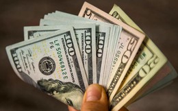 Mua bán ngoại tệ trái phép có thể bị phạt đến 100 triệu đồng