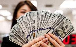 Tỷ giá USD hôm nay 31/12: Tỷ giá trung tâm giảm 3 đồng