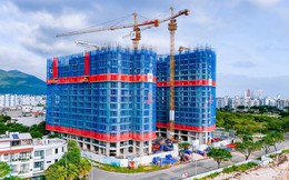 Đà Nẵng: Kinh doanh bất động sản tiêu dùng đạt 1.817 tỷ đồng trong tháng 11 năm 2025