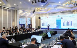 Việt Nam là một trong số ít nền kinh tế duy trì được tốc độ tăng trưởng GDP cao