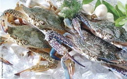Ghẹ Việt Nam giữ lợi thế cạnh tranh trên thị trường quốc tế