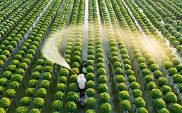 Lĩnh vực công nghệ khí hậu của Việt Nam tăng trưởng vượt trội