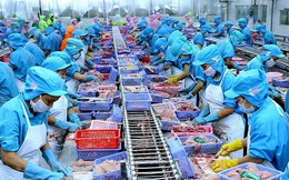 Xuất khẩu thủy sản mang về hơn 10,5 tỷ USD sau 11 tháng