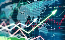 Loạt cổ phiếu tiềm năng có tỷ trọng doanh thu nội địa lớn