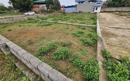 Giao dịch nhà ở và đất nền có nhiều biến động so với quý trước