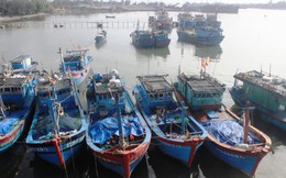 Quảng Trị: Quyết tâm gỡ "thẻ vàng" EC vì nền ngư nghiệp bền vững