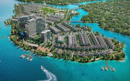 Thương hiệu Đảo Kim Quy: Định hình biểu tượng đô thị sinh thái mới phía Đông TP.HCM