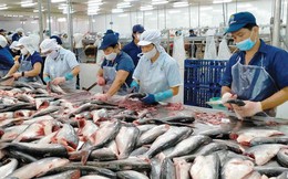 Xuất khẩu thủy sản hướng đến mục tiêu 14-16 tỷ USD vào năm 2030