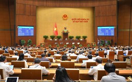 Quốc hội khóa XV đã thông qua Luật Thuế tiêu thụ đặc biệt (sửa đổi)