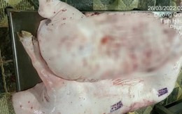Kết luận cuối cùng vụ C.P. Việt Nam bị tố bán heo bệnh