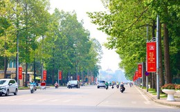 Hà Nội mở rộng tuyến đường Hùng Vương phục vụ diễu binh, diễu hành dịp 2/9